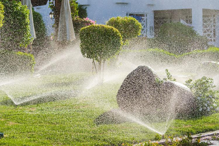 main of Automating Your Sprinkler System Makes it Easy (autoproducts)