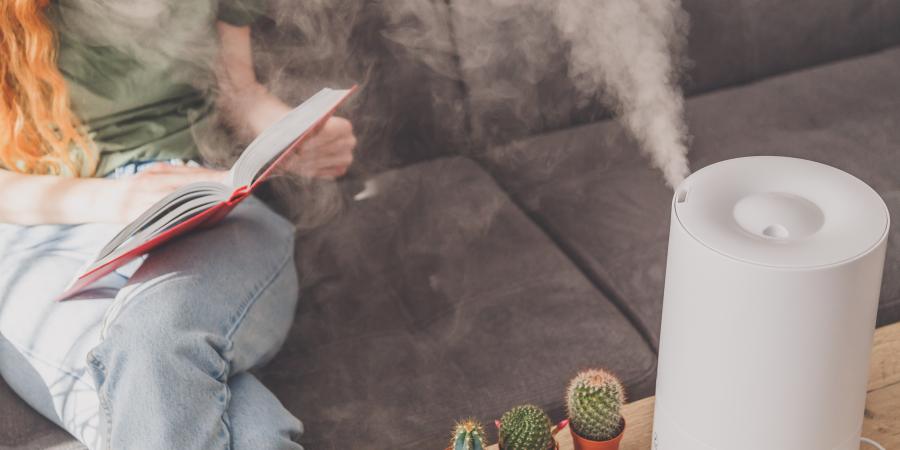 banner of Humidifiers Can Help Avoid Dry Air and the Negatives That Brings