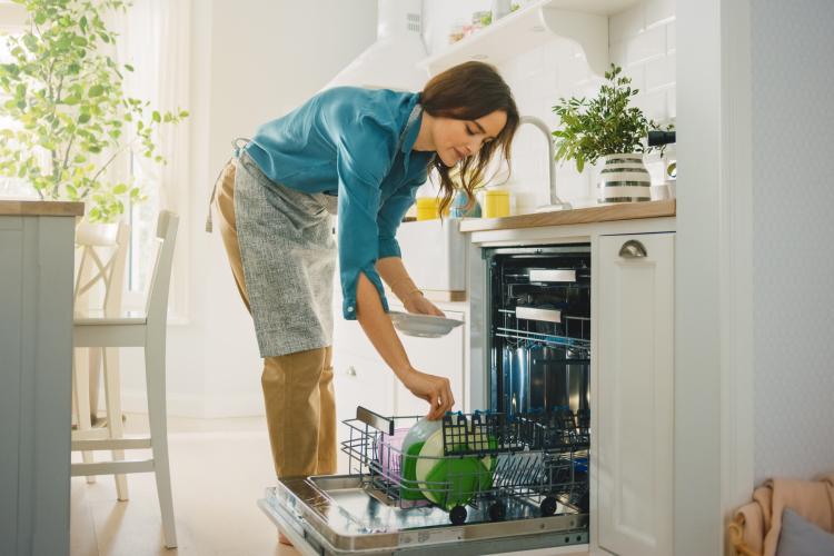 main of Cleaning Dishes Was a Nightmare Before the Dishwasher Came Into Play