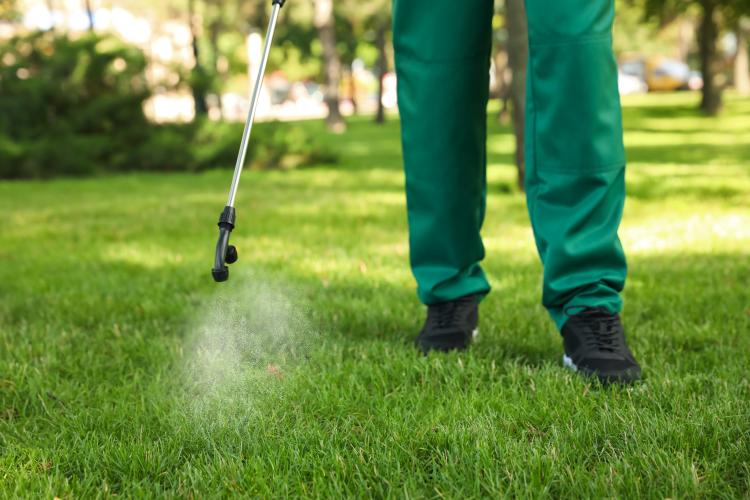 main of Caring For a Lawn Properly Takes Some Knowledge